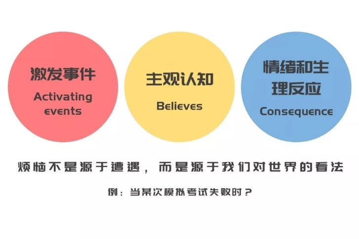 情绪高涨！国际杯赛中的精彩瞬间 